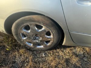 2002 Lexus LS 430 – JTHBN30F020091059
